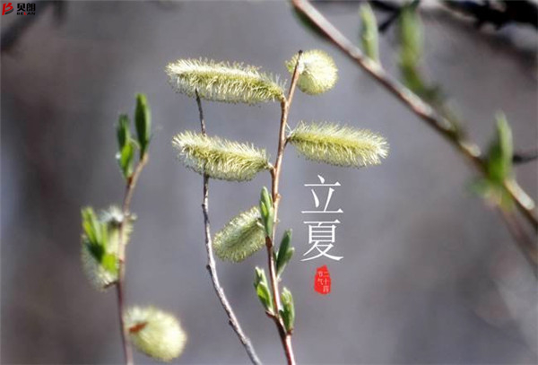 二十四節(jié)氣立夏，那些您不知道的習(xí)俗