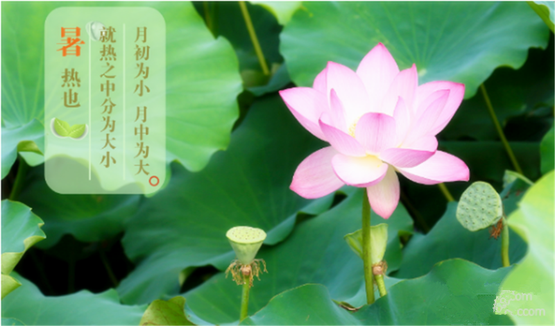 暑臻三伏醉難熬，拭汗揮巾似雨飄——鐵絲成型機