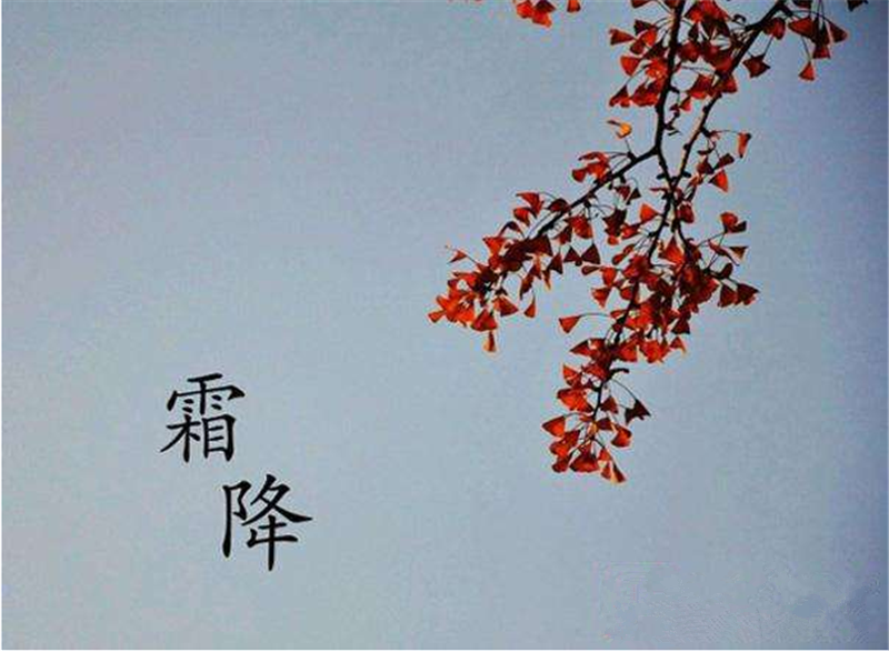 霜降——轉(zhuǎn)載網(wǎng)絡圖片