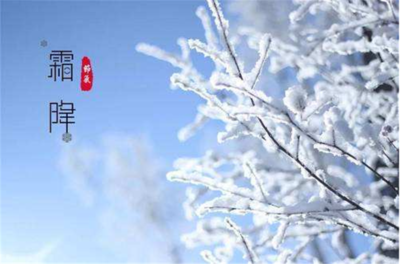 霜降——轉(zhuǎn)載網(wǎng)絡圖片